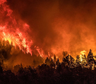 Pelea cara a cara con el fuego: cómo es el operativo para controlar el incendio en el Parque Nacional Nahuel Huapi