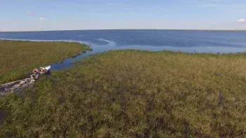¿Cómo llegar a los Esteros del Iberá?