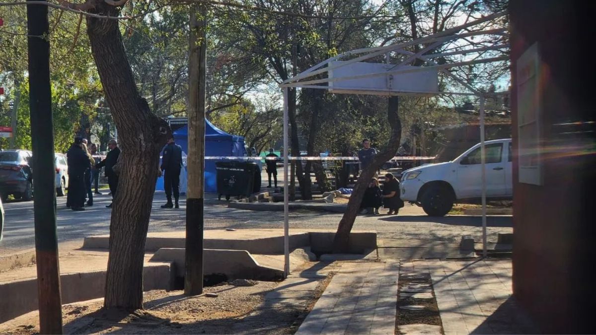 La asesinó frente a su casa por un insólito motivo y se quedó mirando en la puerta: Ya está