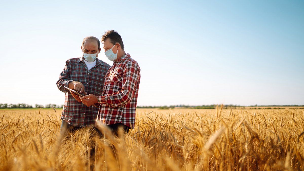 Los productores agropecuarios y la demanda de tecnología: una relación cada vez más estrecha.&nbsp;