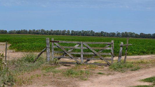 ARBA ofrece pagar con descuento de hasta 20% la cuota 4 del Inmobiliario Rural y el Complementario