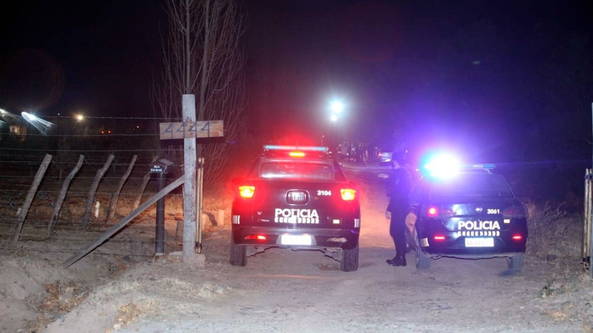 La joven de 15 años fue identificada como Lucía Fernández (Foto: Telam).