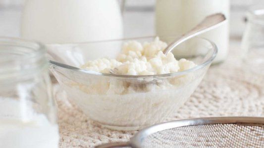 El furor de los alimentos fermentados: claves para un consumo seguro