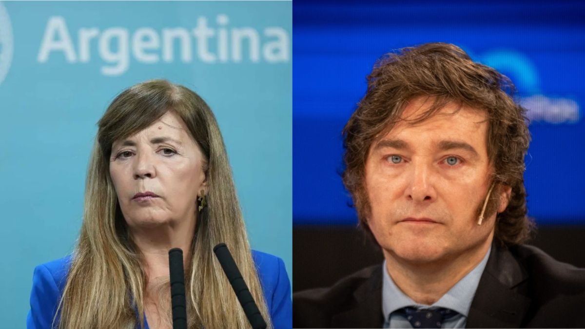 Gabriela Cerruti acusó a Javier Milei por la difusión en redes sociales de imágenes de supuestos robos. (Collage)
