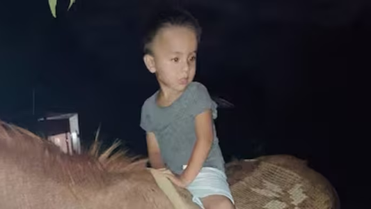 Loan pudo estar ahí, la dramática teoría sobre la desaparición