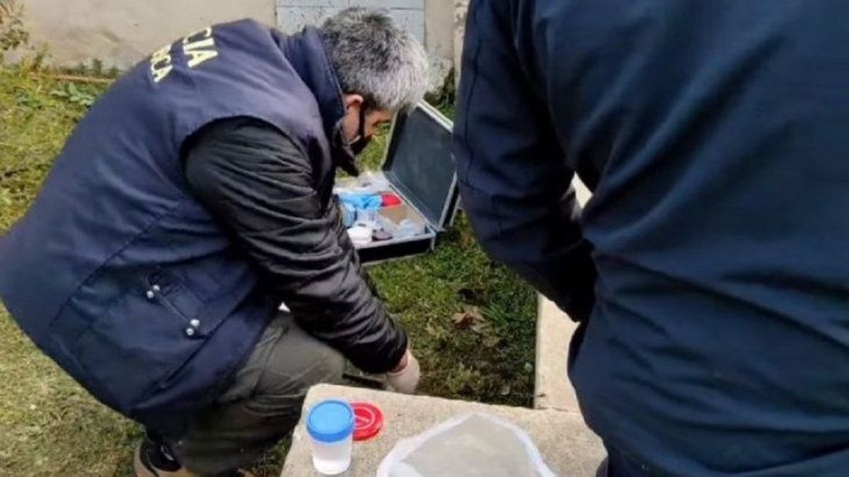 La Policía Científica investiga el caso del pene hallado en Balcarce.