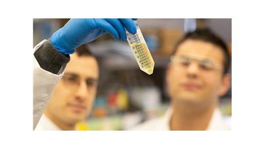 Un estudio científico demuestra que todos los infectados por COVID-19 desarrollan anticuerpos que evitarían el recontagio