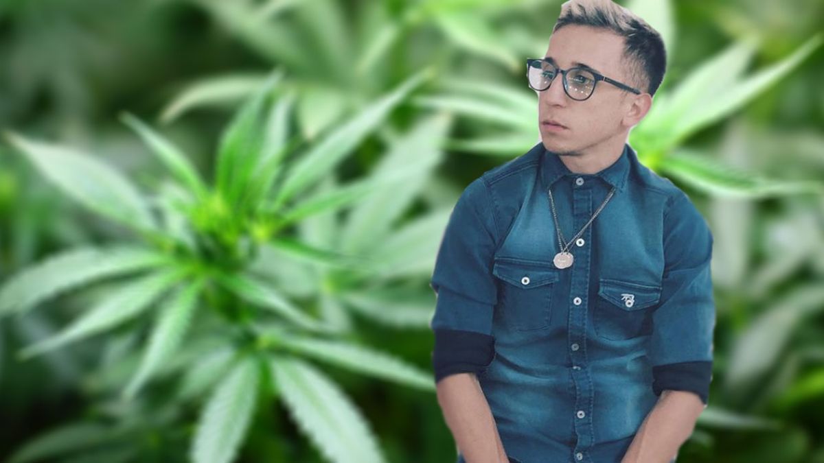 Rodrigo Noya pidió por la legalización de la marihuana