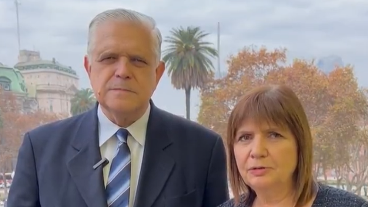Ricardo López Murphy declinó su precandidatura y se suma al equipo nacional de Patricia Bullrich. (Captura)