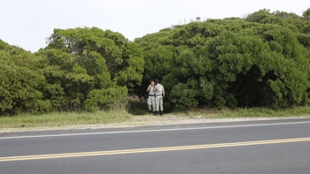 Misterio en Mar del Plata: hallan el cuerpo de una mujer en un acantilado y descubren un dato macabro