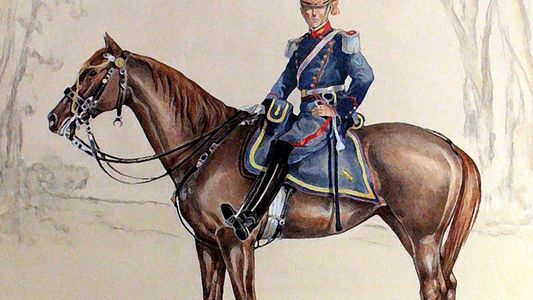 Los aforismos de José Narosky: Todo idealista tropieza con ciegos mentales