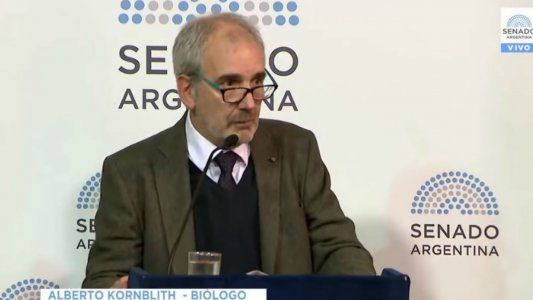 Por qué participé en el debate del aborto: la explicación de Alberto Kornblihtt en una de las revistas más importantes de ciencia a nivel mundial