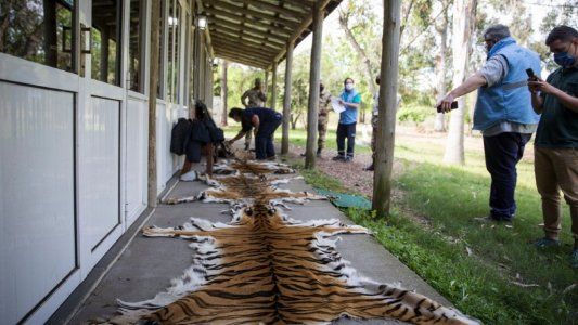 En un zoológico de Concordia faltaban animales exóticos y cuando se hizo una inspección se descubrieron sus cueros