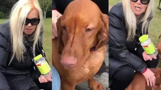 Susana Giménez sigue renegando con su perra Rita: Polotu... ¡Loca de miércoles!