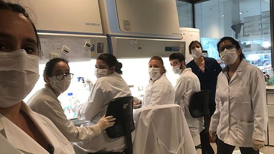 Vacuna argentina contra el coronavirus: comenzaron los ensayos clínicos y avanza el desarrollo local