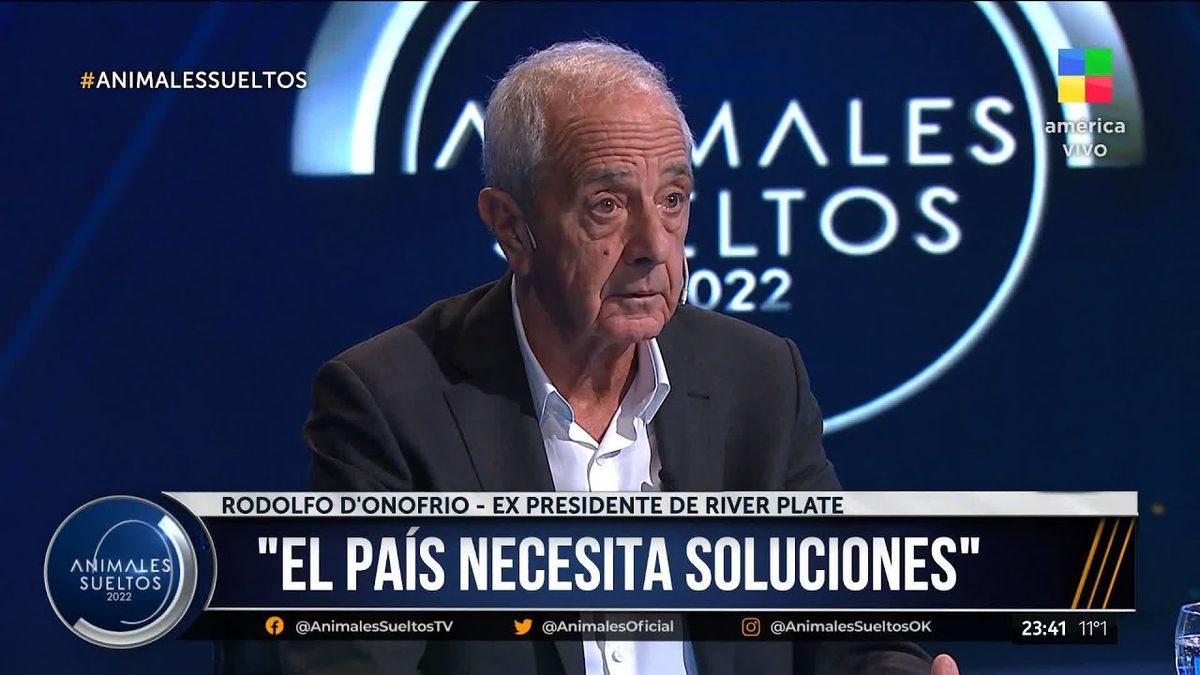  Rodolfo DOnofrio anunció que se mete en la política y pidió privatizar Aerolíneas Argentinas (Foto: captura de TV).