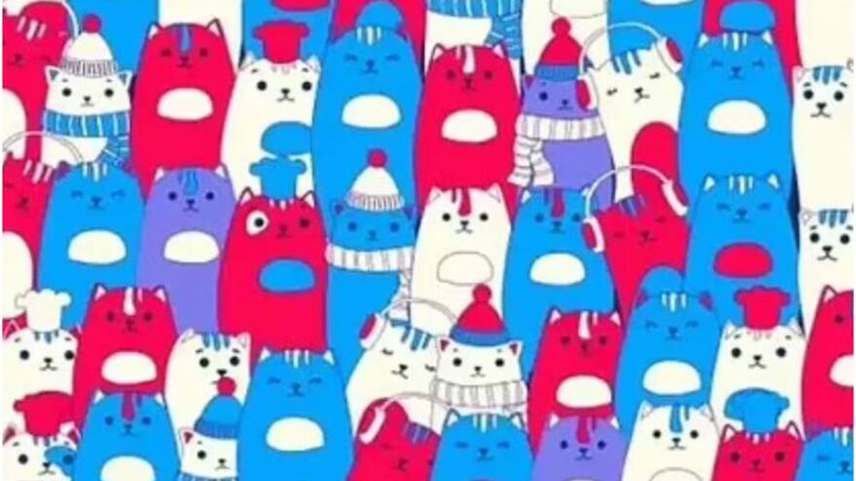 El objetivo de este juego es encontrar al conejo escondido entre los gatos&nbsp;