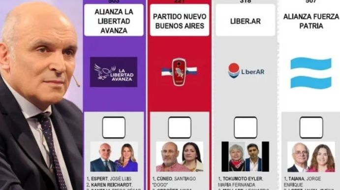 Salida de Espert: el juez Ramos Padilla le pidió al Gobierno que informe cómo se financiaría la reimpresión de boletas
