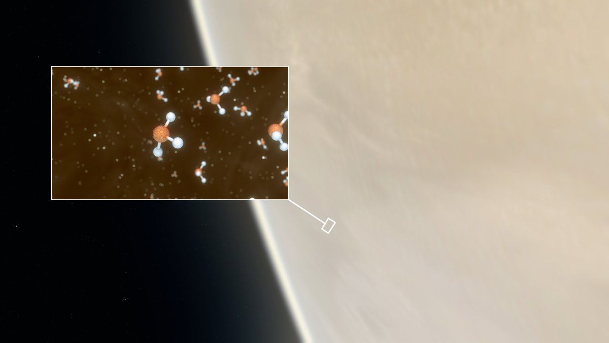 Científicos anuncian el hallazgo de indicios de posible vida en el planeta Venus