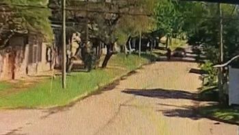 Discutieron, se cruzaron al día siguiente y tomó una decisión brutal que quedó grabada