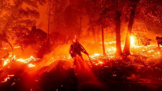 Analizan experiencias internacionales para prevenir incendios forestales y rurales