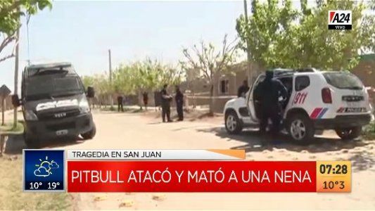 Horror en San Juan: pitbull mató a una nena de 9 años