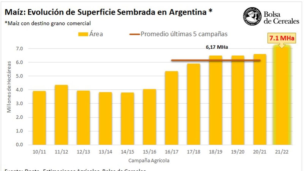 La siembra de maíz en Argentina, en franco ascenso.