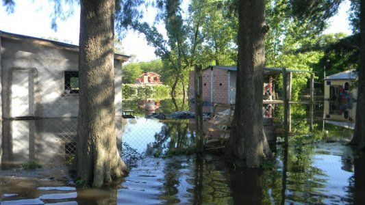 Humedales: a la espera de una ley vital para las esponjas de la tierra