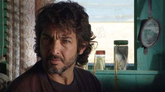 Netflix publicó una película que dura menos de dos horas y tiene a Ricardo Darín como protagonista