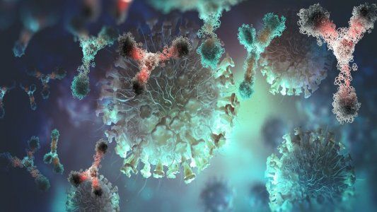 Detectan transmisión comunitaria de las cepas de Reino Unido, Manaos, Río de Janeiro y California