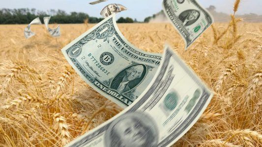 Producir en la incertidumbre: cómo financiarse tras el adelanto de ventas de 2019