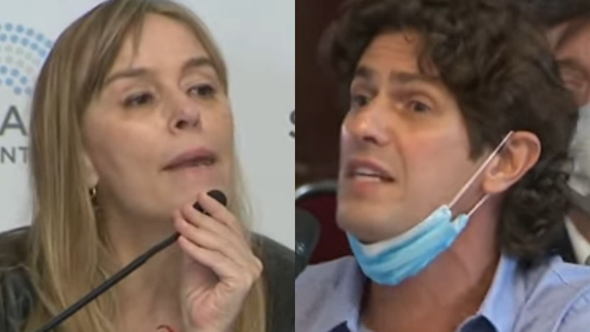 El cruce entre Juliana di Tullio y Martín Lousteau. (Captura)