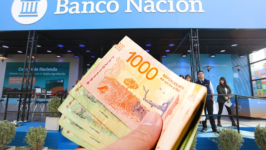 30, 60 y 90 días: El Banco Nación asombró con la nueva tasa de interés de cada plazo fijo