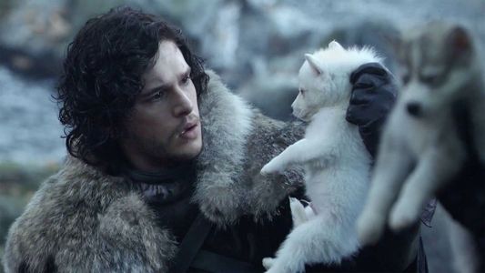 Lobos terribles: cómo científicos lograron revivir tras 10.000 años a la especie protagonista de GOT