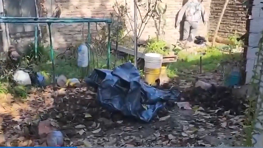 Video: los macabros hallazgos en la casa de Florencio Varela donde mataron a las tres chicas