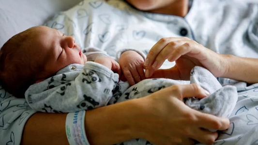 La tasa de natalidad cayó 40% y los hogares sin hijos son mayoría