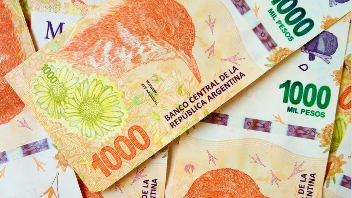 Se pueden pedir hasta 20 millones de pesos.  (Foto: archivo)
