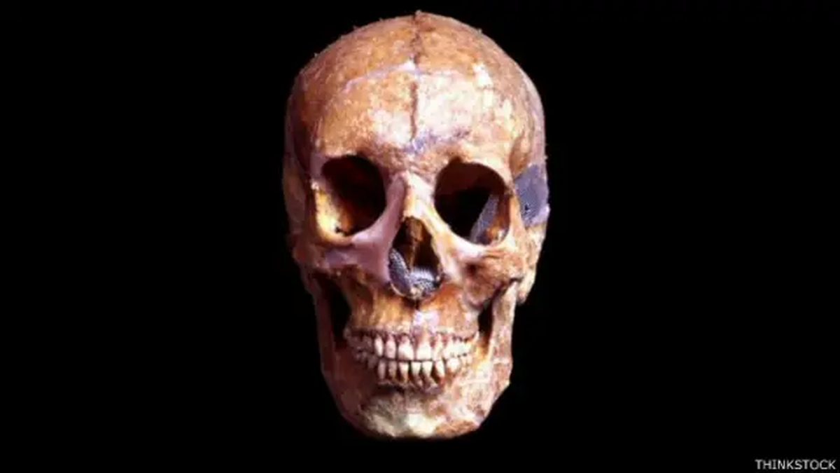 Los cambios que experimenta el cuerpo después de la muerte dieron lugar a un mito desmentido por la ciencia.