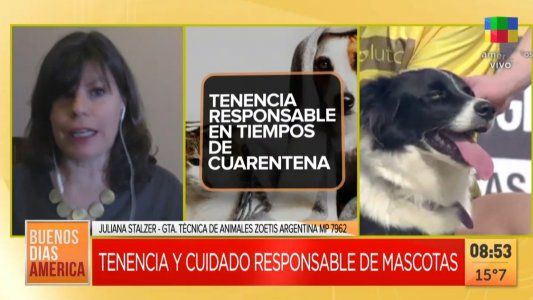 Una Salud y tenencia responsable en tiempos de cuarentena