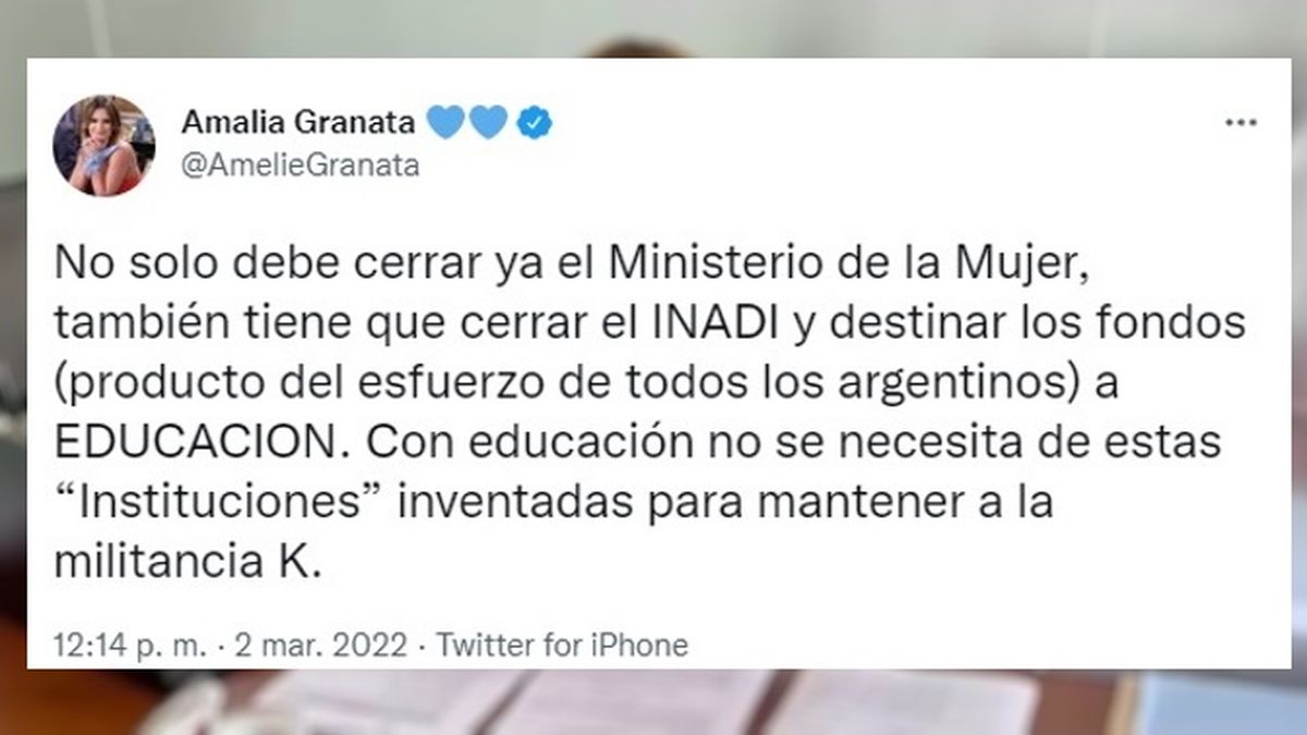 Amalia Granata pidi&oacute; p&uacute;blicamente el cierre del Ministerio de la Mujer, tras los dichos de la titular de la cartera a ra&iacute;z del caso de la reciente violaci&oacute;n grupal en Palermo.