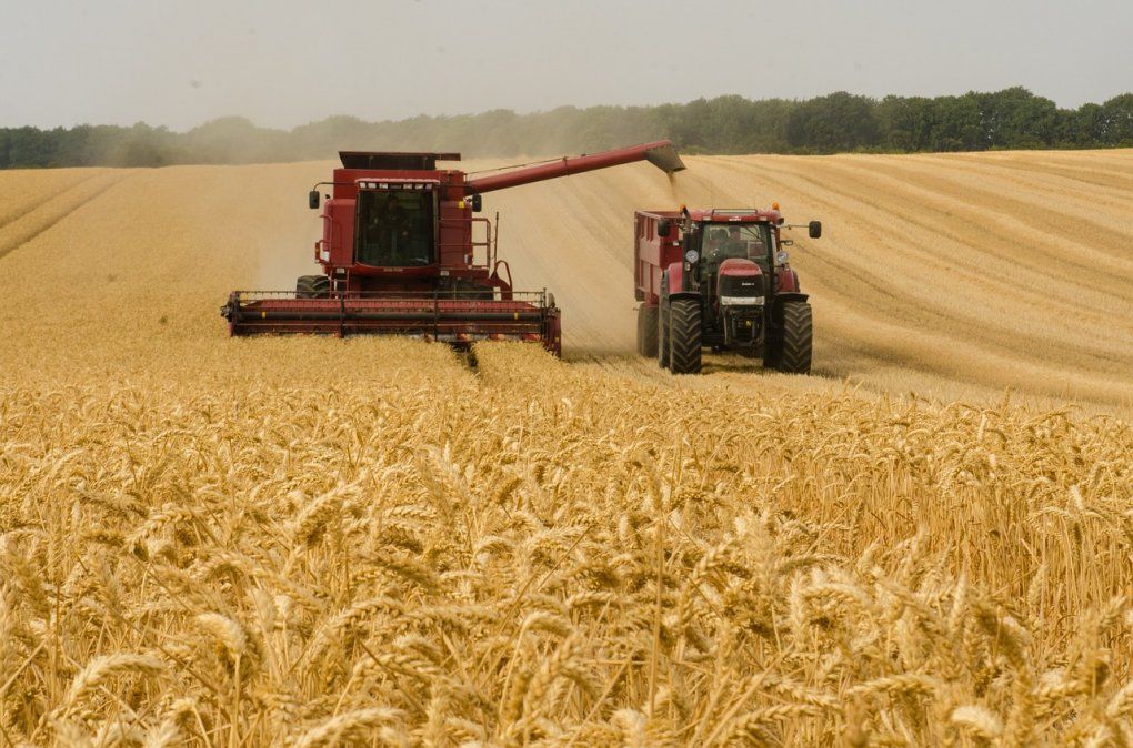 Advierten por márgenes más ajustados y un escenario internacional volátil para la próxima campaña agrícola