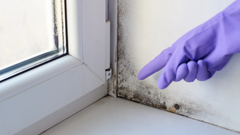 TRUCO DE ARQUITECTOS: eliminar manchas de humedad de las paredes sin gastar en pintura