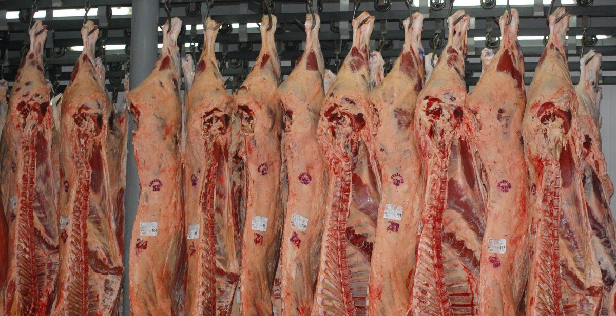 Crece la producción de carne pero con reses más livianas