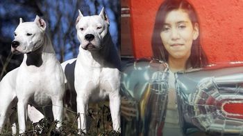 Dos dogos mataron a una chica de 15 años y un padre salvó a su hija con una desesperada acción