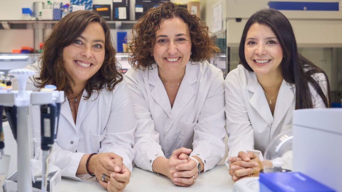 Las tres investigadores españolas y su aporte en la lucha contra el cáncer de mama. (Foto: Cuenta de X de VHIO)