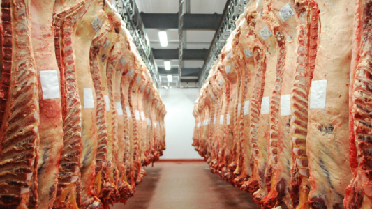 Ocho frigoríficos frenan exportaciones de carnes a China por casos de coronavirus