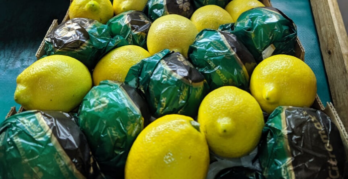 Limones a China: la primera exportación saldrá a fin de mes y será de 24 toneladas