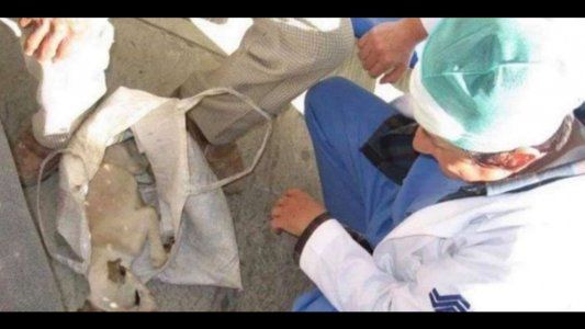 La historia que conmueve a México: un anciano llevó a su cachorro enfermo a un hospital y los médicos le salvaron la vida