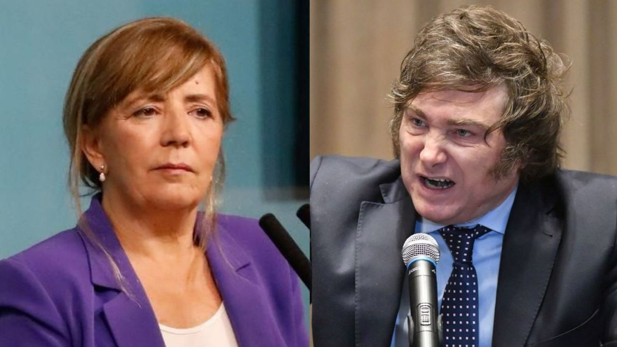 En el partido de Milei quieren que Cerruti vaya hasta 6 años presa por sus acusaciones sobre los robos organizados