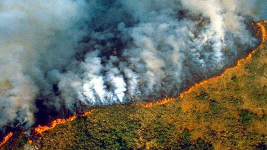 La deforestación en la Amazonia brasileña llegó a su nivel más alto en una década